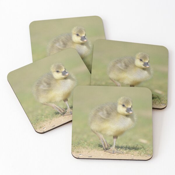 Item preview, Out for a stroll designed and sold by ClaireChown.