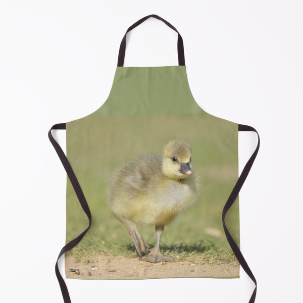 Item preview, Out for a stroll designed and sold by ClaireChown.