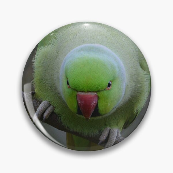 Item preview, Parakeet Portrait designed and sold by ClaireChown.