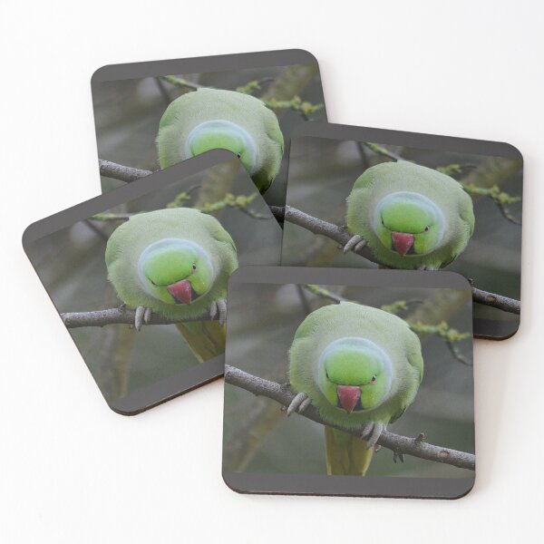 Item preview, Parakeet Portrait designed and sold by ClaireChown.