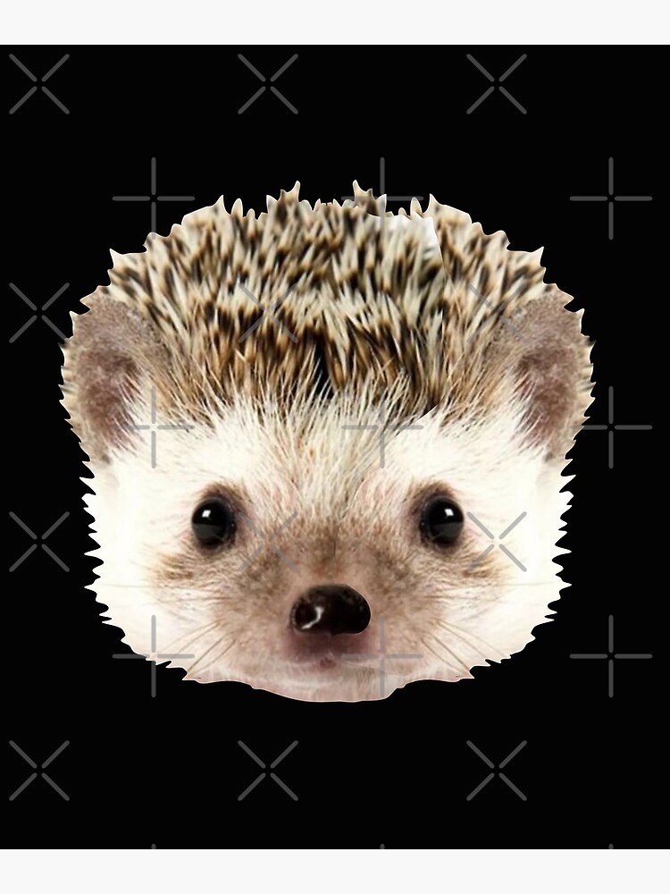 Hedgehog Face Funny Hair Cut Cute  Poster for Sale by alenaz