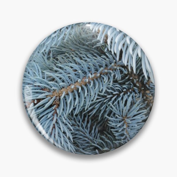 Item preview, blue spruce branches close up designed and sold by Olga Kydryavskaya.