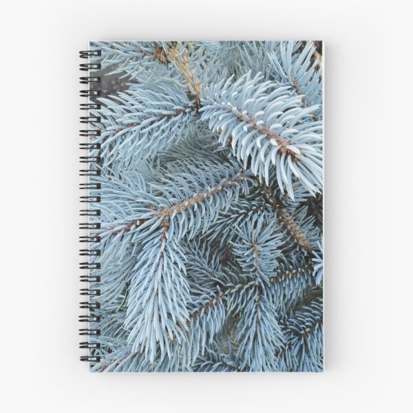 Item preview, blue spruce branches close up designed and sold by Olga Kydryavskaya.