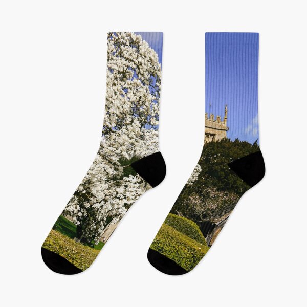 Item preview, Magnificent Magnolia  designed and sold by ScenicViewPics.
