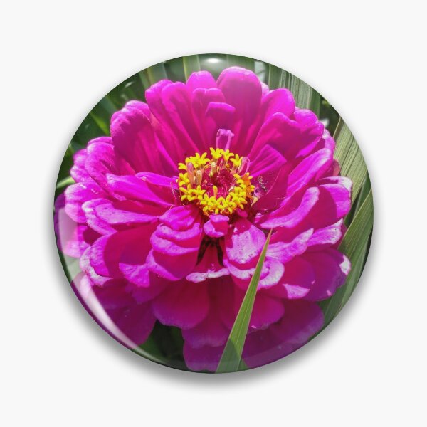 Item preview, Magenta Zinnia designed and sold by PhotogDeb.