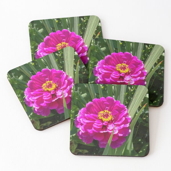 Item preview, Magenta Zinnia designed and sold by PhotogDeb.