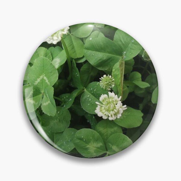 Item preview, green clover with white flowers designed and sold by Olga Kydryavskaya.
