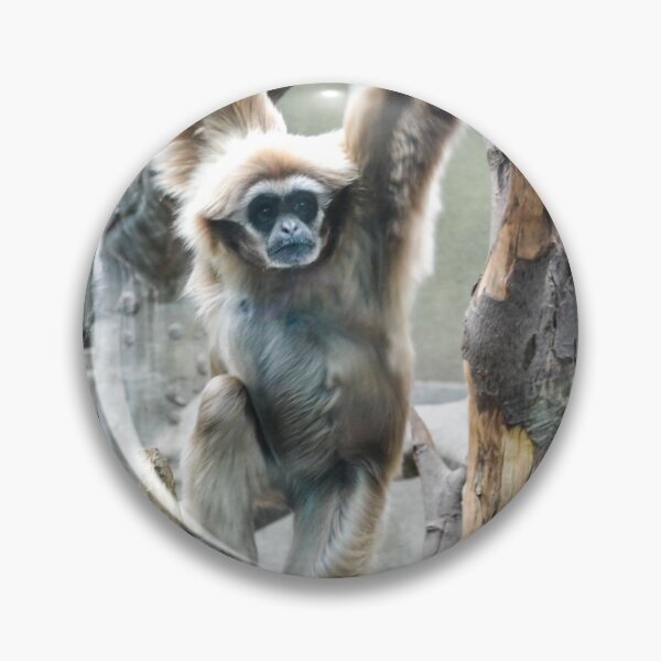 Item preview, It's Gibbon Time designed and sold by DiddyH.