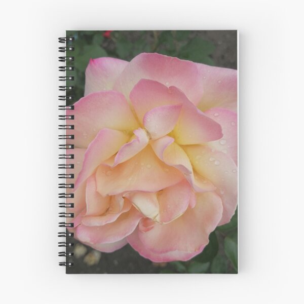 Item preview, pink rose with dewdrops on the petals designed and sold by Olga Kydryavskaya.