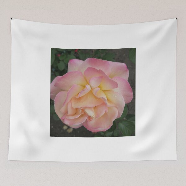 Item preview, pink rose with dewdrops on the petals designed and sold by Olga Kydryavskaya.