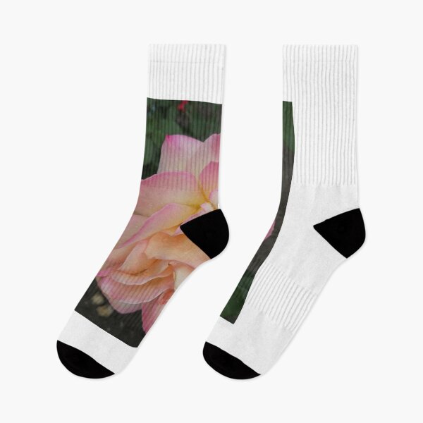 Item preview, pink rose with dewdrops on the petals designed and sold by Olga Kydryavskaya.