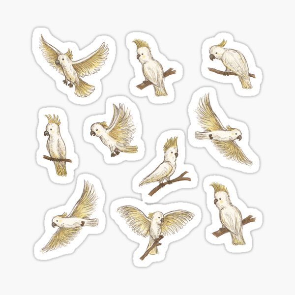 Item preview, Aussie Animals: Cockatoo Pack designed and sold by Those Pencil Shavings.