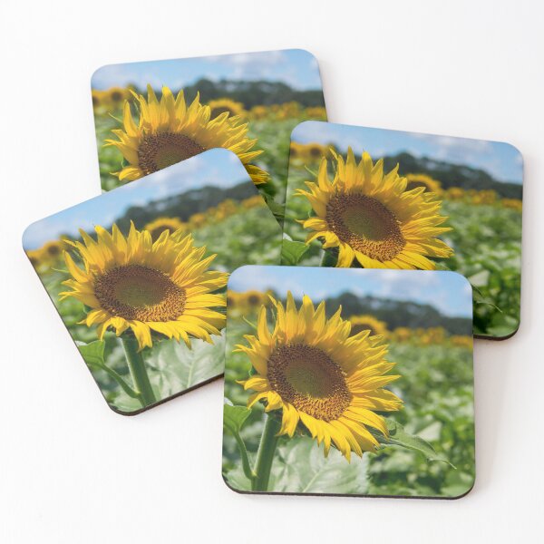 Item preview, Large sunflower in field designed and sold by PhotogDeb.