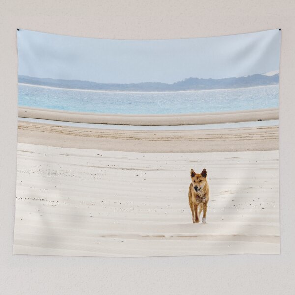 Item preview, Dingo On The Beach On Fraser Island Australia designed and sold by Catherine Reading.