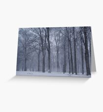 Dreamy Snowfall in Woods Greeting Card