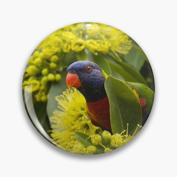 Item preview, Rainbow Lorikeet  designed and sold by MargsNaturePix.