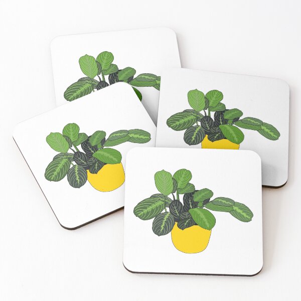 Item preview, Prayer Plant House Plant Collection designed and sold by laurasgallery.