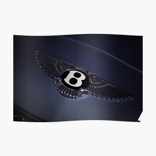 Angel's Wings Poster