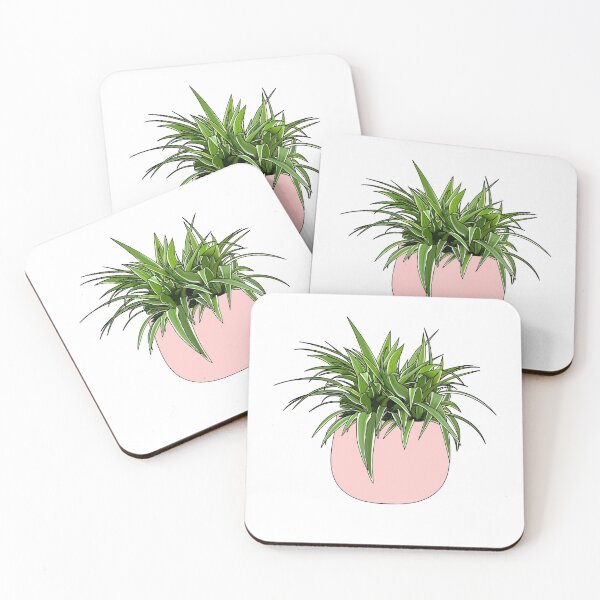 Item preview, Spider Plant House Plant Collection designed and sold by laurasgallery.