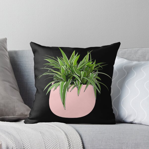 Item preview, Spider Plant House Plant Collection designed and sold by laurasgallery.