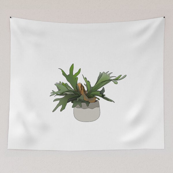 Item preview, Staghorn Fern House Plant Collection designed and sold by laurasgallery.
