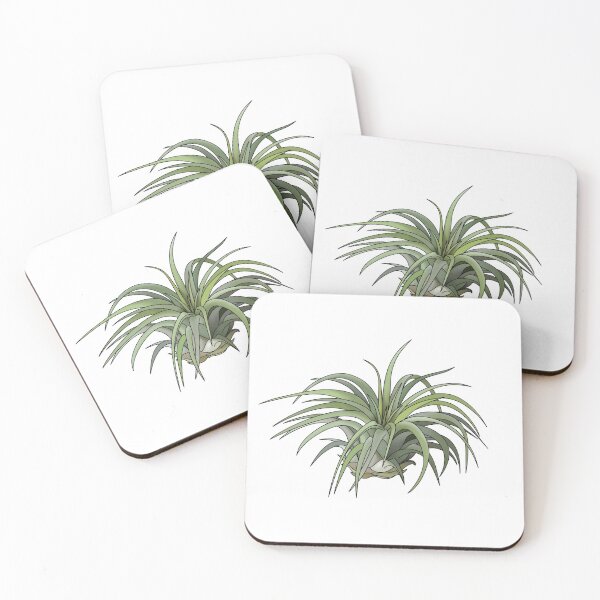 Item preview, Tillandsia House Plant Collection designed and sold by laurasgallery.