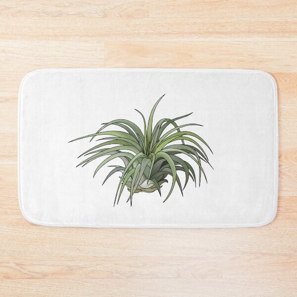 Item preview, Tillandsia House Plant Collection designed and sold by laurasgallery.