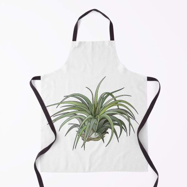 Item preview, Tillandsia House Plant Collection designed and sold by laurasgallery.