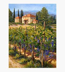Chianti Vineyard Photographic Print