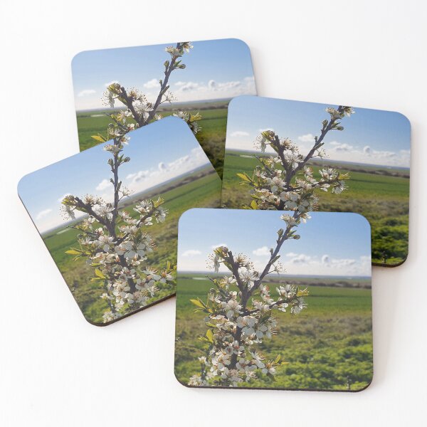 Artikelvorschau, Blüten- und Landschaftsfotografie entworfen und verkauft von s10-Photography.