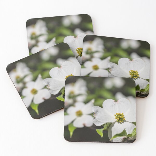 Item preview, Dogwood Bloom designed and sold by mljdwhite.