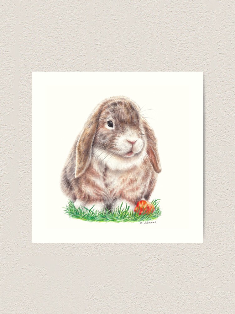 Rabbit on sale with colored pencils.