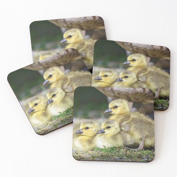 Item preview, Canada Gosling Family designed and sold by ClaireChown.