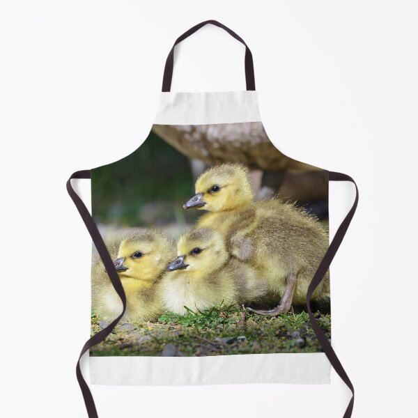 Item preview, Canada Gosling Family designed and sold by ClaireChown.