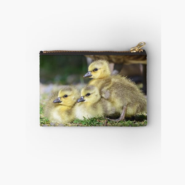 Aperçu de l'œuvre Canada Famille Gosling créée et vendue par ClaireChown.