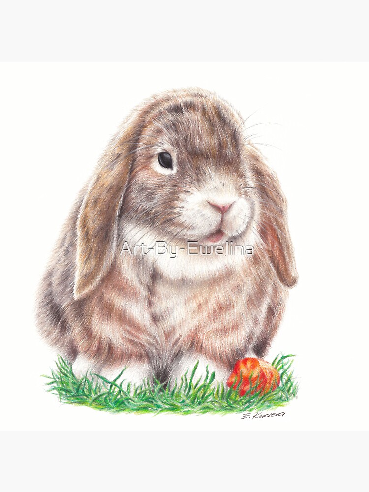 Buy Custom Bunny Portrait, Personalized Realistic Rabbit Drawing, Painting  From Photo, Custom Pet Memorial Online in India - Etsy