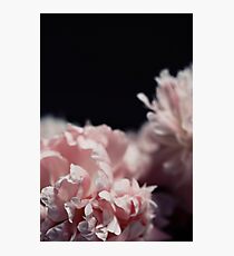 Perennial Photographic Print