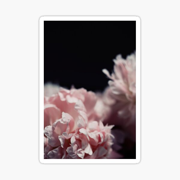 Perennial Sticker