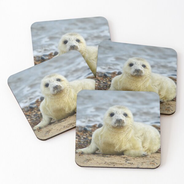 Item preview, Newborn Seal designed and sold by ClaireChown.