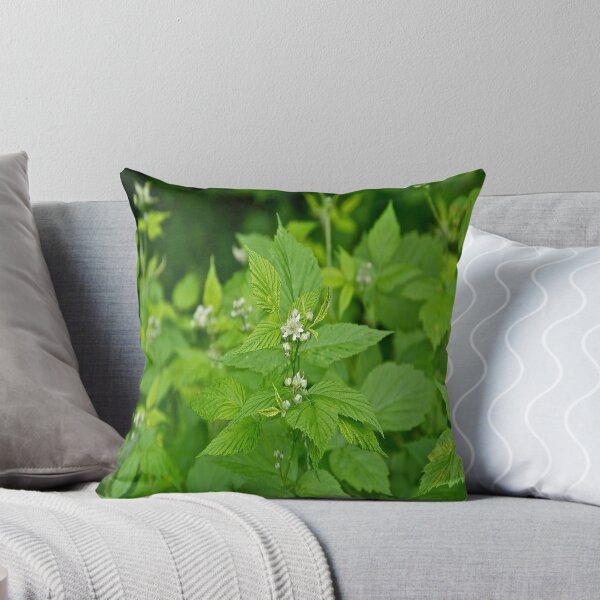 Item preview, Wild black raspberry blossom designed and sold by Carolyn Clark.