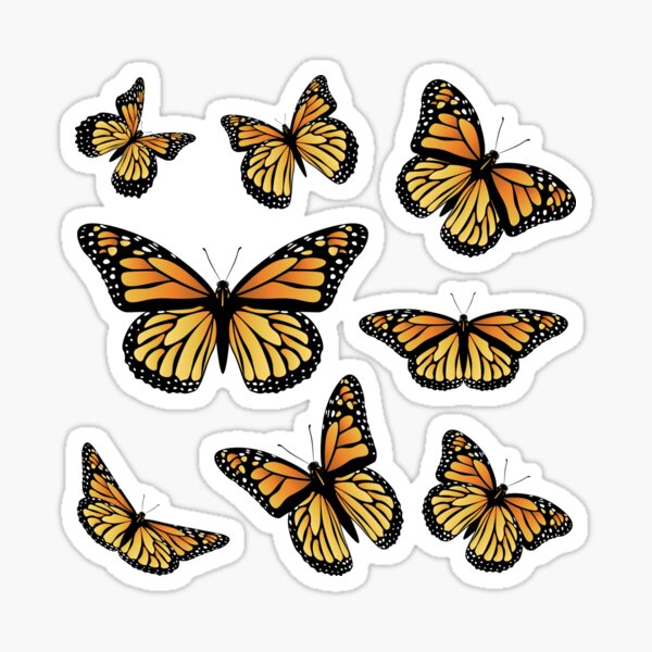 Orange Monarch Butterfly Sticker For Sale By Annartshock Redbubble