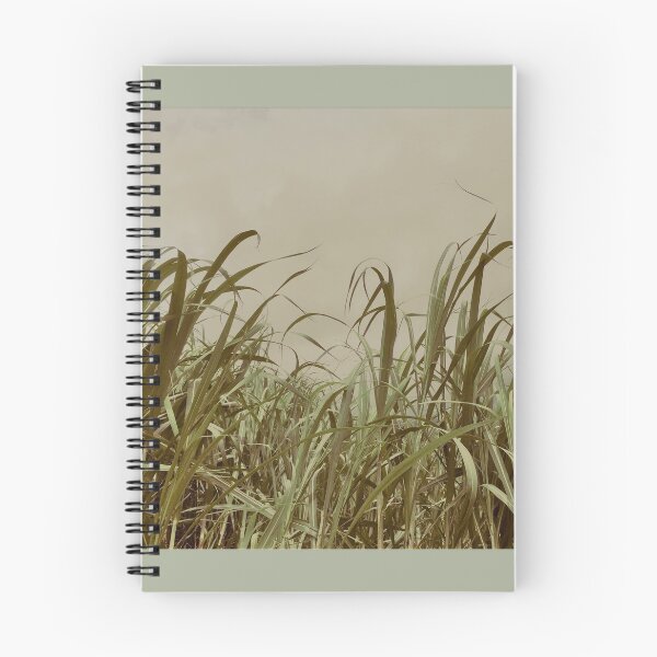 Item preview, Corn field designed and sold by jannelserrano.