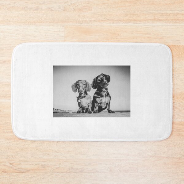 Item preview, Alvin & Theodore designed and sold by pipsqueaksphoto.