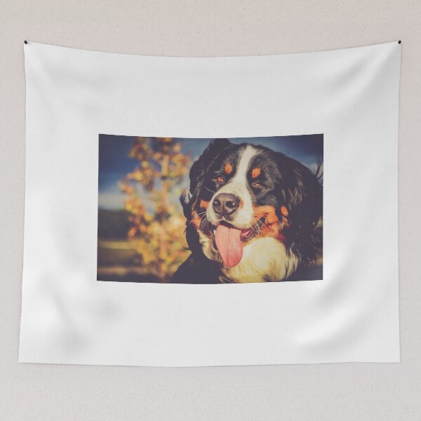 Item preview, Bella designed and sold by pipsqueaksphoto.