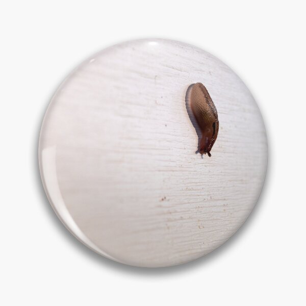 Item preview, Photogenic Brown Slug Climbing Down A Wall designed and sold by AmberCamera.