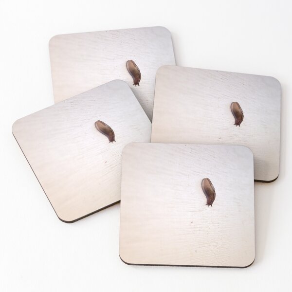 Item preview, Photogenic Brown Slug Climbing Down A Wall designed and sold by AmberCamera.