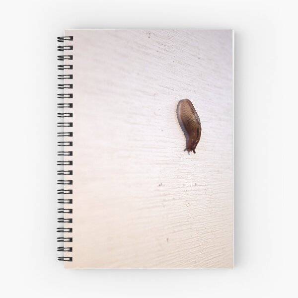 Item preview, Photogenic Brown Slug Climbing Down A Wall designed and sold by AmberCamera.