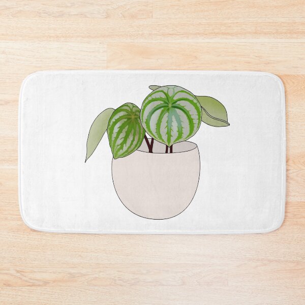 Item preview, Watermelon Peperomia Plant Collection designed and sold by laurasgallery.