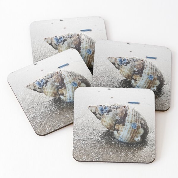 Item preview, Sea Shell designed and sold by neilirving.