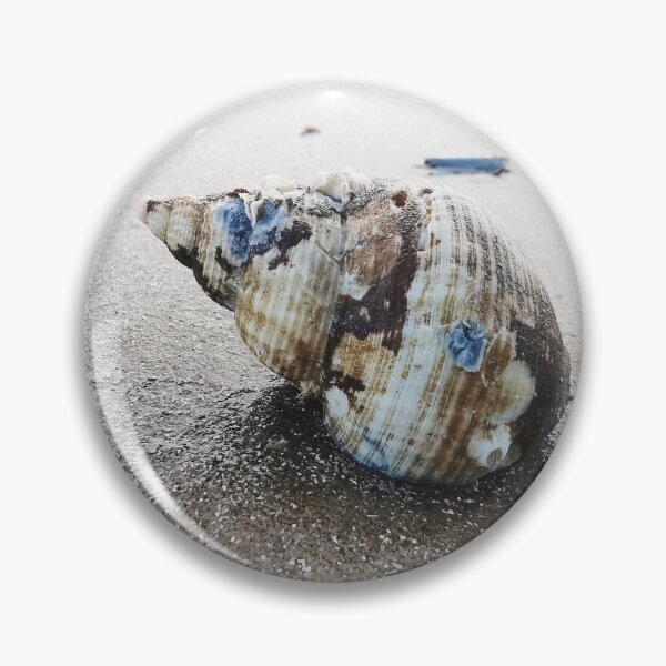 Item preview, Sea Shell designed and sold by neilirving.